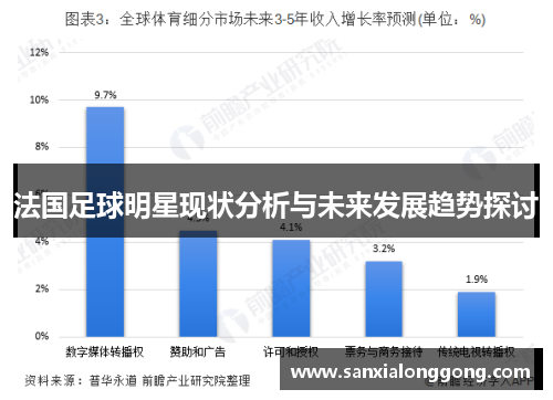 法国足球明星现状分析与未来发展趋势探讨